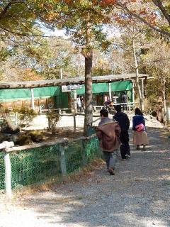 DSCN0067.JPG