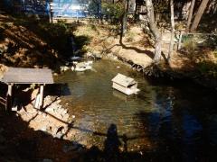 DSCN0071.JPG