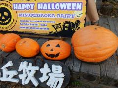 DSCN0123.JPG