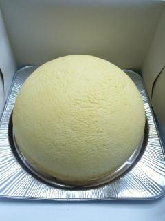 IMG_1495.jpg