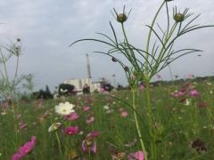IMG_2516.JPG