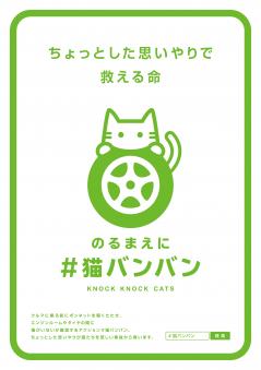 KnockKnockCats_Poster.jpg