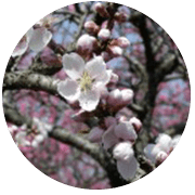 07bf78909e155660a183be354523832e.png
