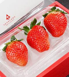 イチゴ狩り 富士コントロール 埼玉県久喜市