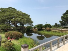 IMG_0123.jpg