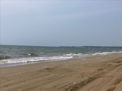 IMG_0174.jpg