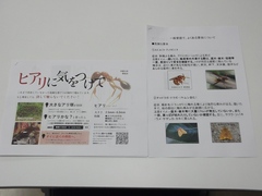 DSCF5803.JPG