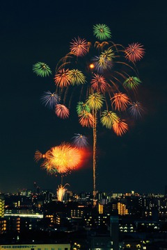 IMG_9921.JPG