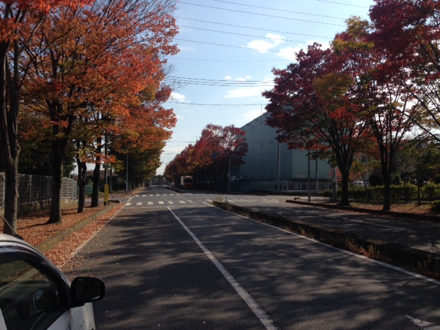https://www.fco.co.jp/wp/wp-content/uploads/mt/blog_biz/blog_images/%E5%86%99%E7%9C%9F4.JPG
