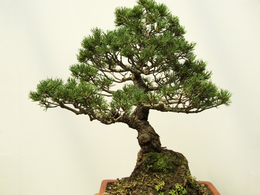 https://www.fco.co.jp/wp/wp-content/uploads/mt/blog_biz/blog_images/00a.jpg