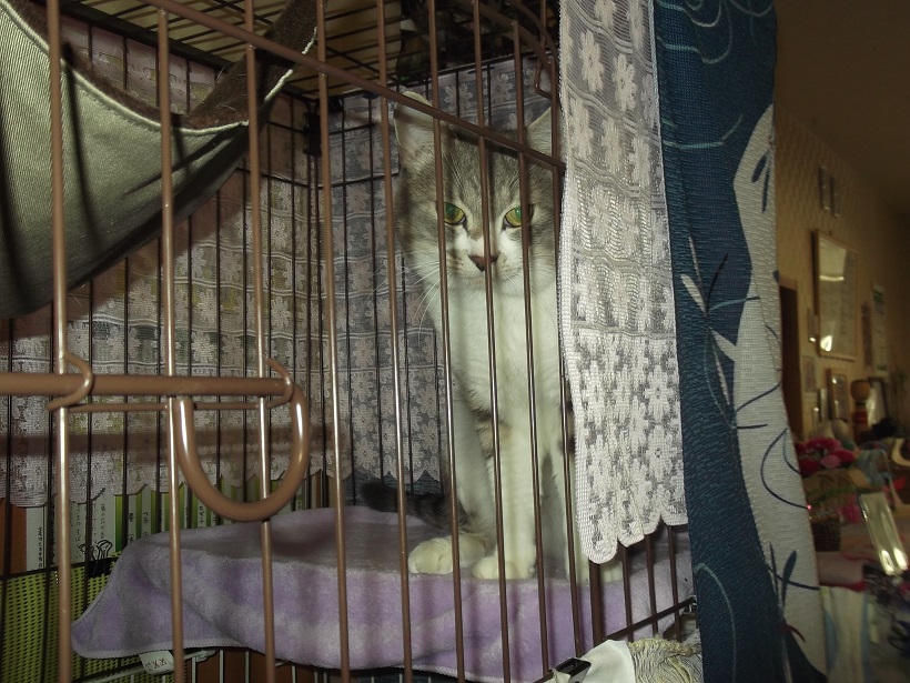 https://www.fco.co.jp/wp/wp-content/uploads/mt/blog_biz/blog_images/0131.JPG