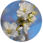 https://www.fco.co.jp/wp/wp-content/uploads/mt/blog_biz/blog_images/9335ebe2ae81ba2966656273095fd148.png