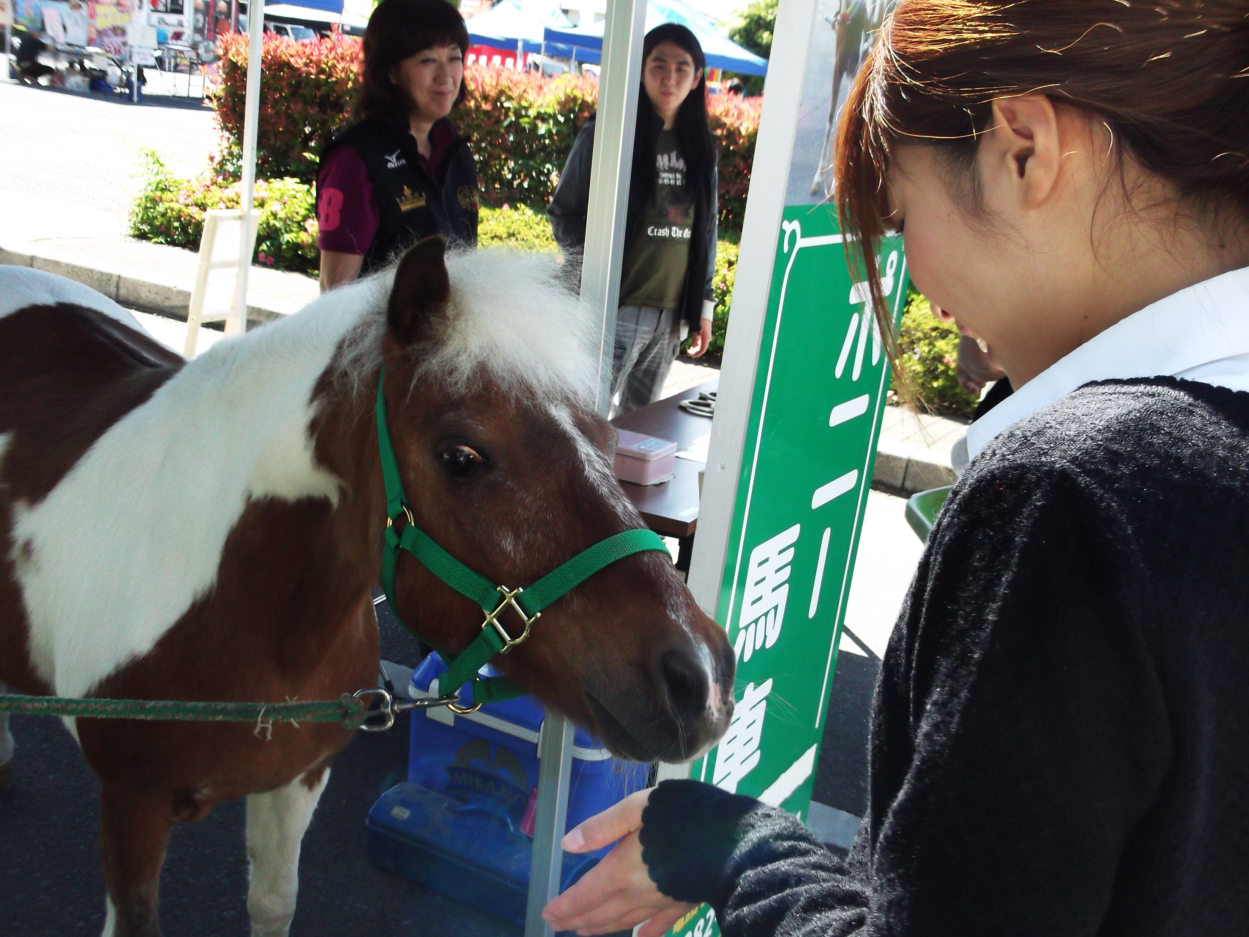 https://www.fco.co.jp/wp/wp-content/uploads/mt/blog_biz/blog_images/DSCF4217.JPG