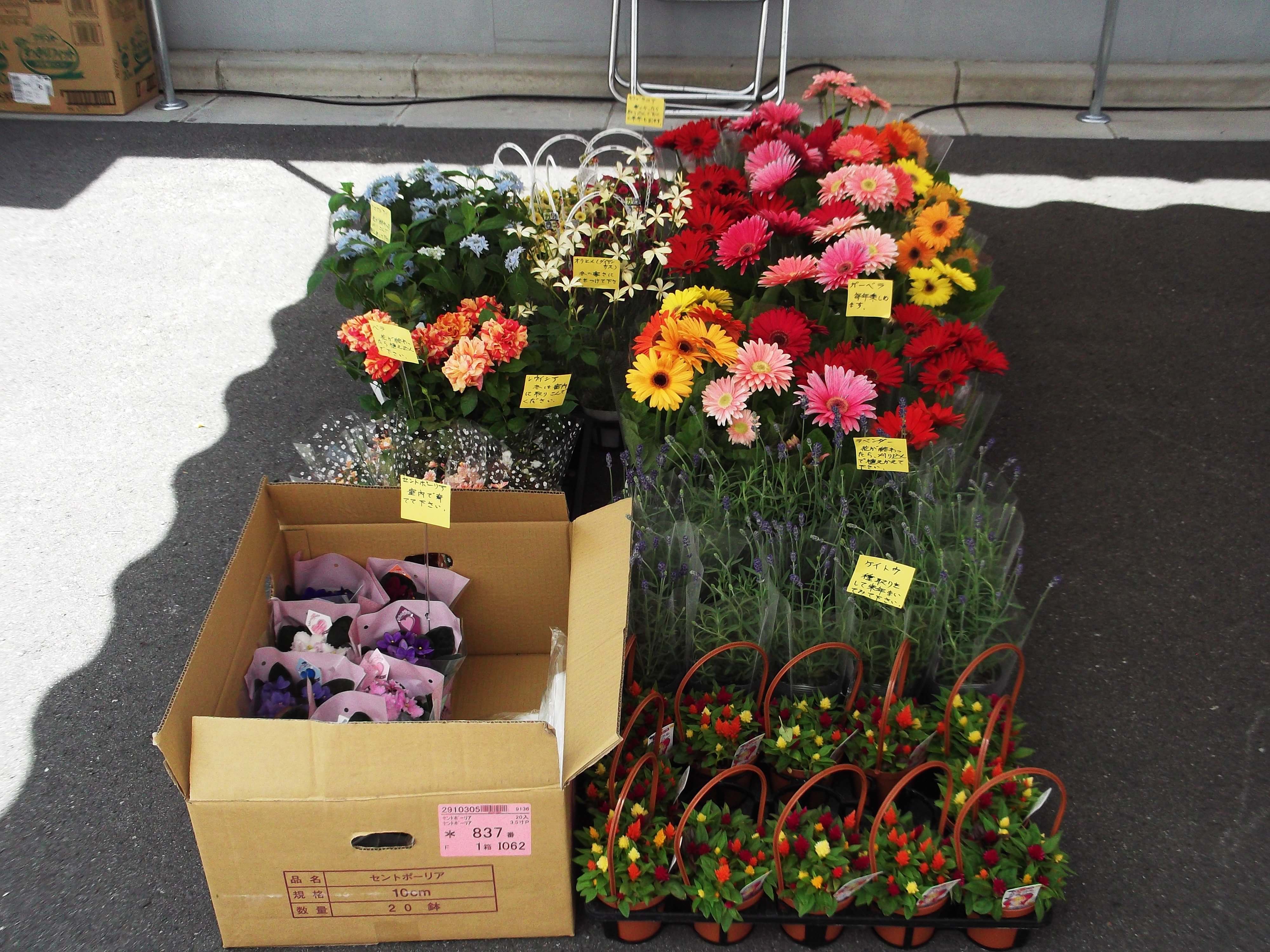 https://www.fco.co.jp/wp/wp-content/uploads/mt/blog_biz/blog_images/DSCF4287.JPG