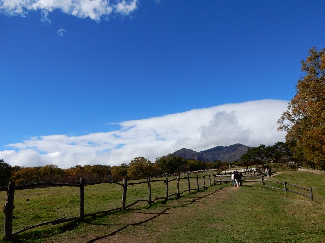 https://www.fco.co.jp/wp/wp-content/uploads/mt/blog_biz/blog_images/DSCN0061.JPG