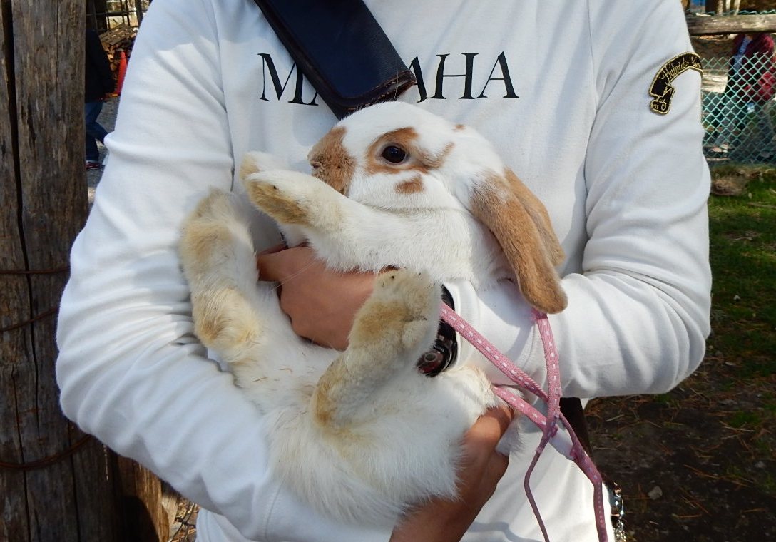 https://www.fco.co.jp/wp/wp-content/uploads/mt/blog_biz/blog_images/DSCN0110%282%29.JPG
