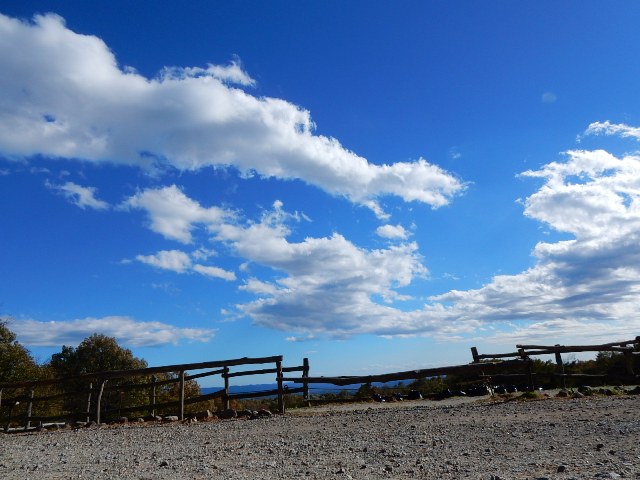 https://www.fco.co.jp/wp/wp-content/uploads/mt/blog_biz/blog_images/DSCN0119.JPG