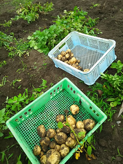 https://www.fco.co.jp/wp/wp-content/uploads/mt/blog_biz/blog_images/DSC_0079.JPG