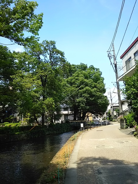https://www.fco.co.jp/wp/wp-content/uploads/mt/blog_biz/blog_images/DSC_0176.JPG