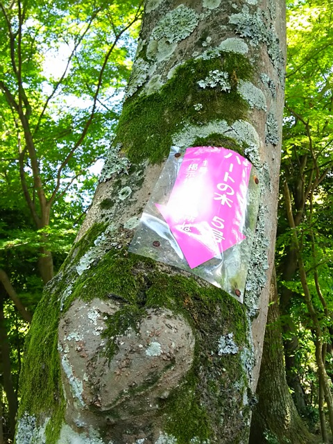 https://www.fco.co.jp/wp/wp-content/uploads/mt/blog_biz/blog_images/DSC_0187.JPG