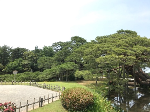 https://www.fco.co.jp/wp/wp-content/uploads/mt/blog_biz/blog_images/IMG_0121.jpg