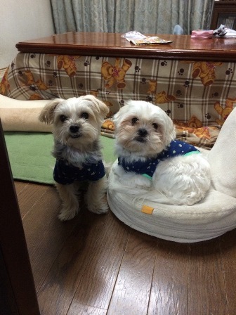 https://www.fco.co.jp/wp/wp-content/uploads/mt/blog_biz/blog_images/IMG_0666.jpg