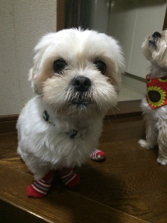 https://www.fco.co.jp/wp/wp-content/uploads/mt/blog_biz/blog_images/IMG_0779.jpg