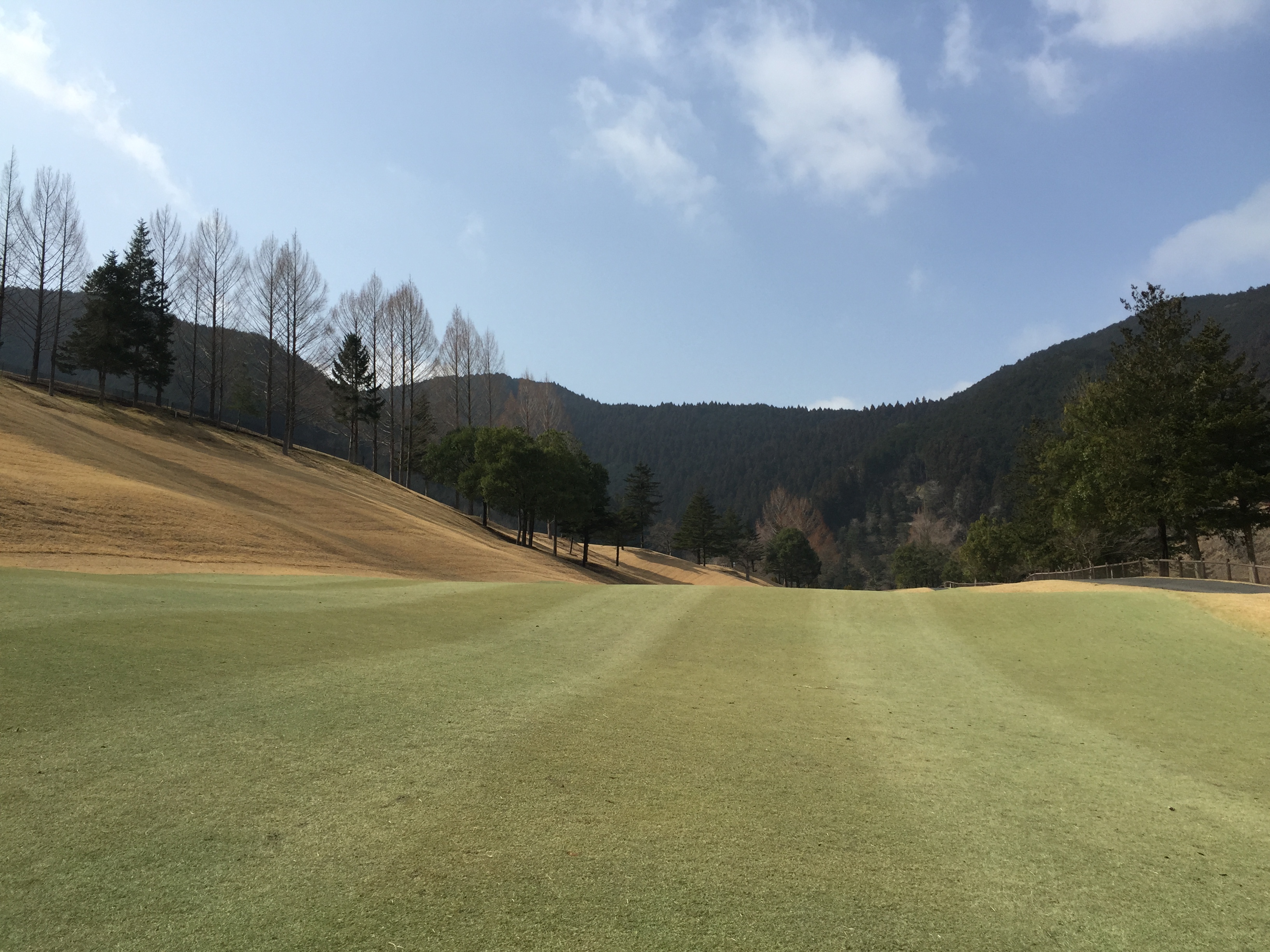 https://www.fco.co.jp/wp/wp-content/uploads/mt/blog_biz/blog_images/IMG_1796.JPG