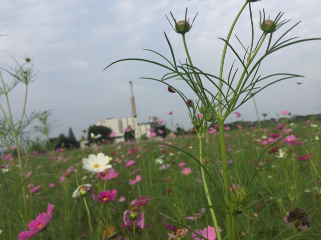 https://www.fco.co.jp/wp/wp-content/uploads/mt/blog_biz/blog_images/IMG_2516.JPG