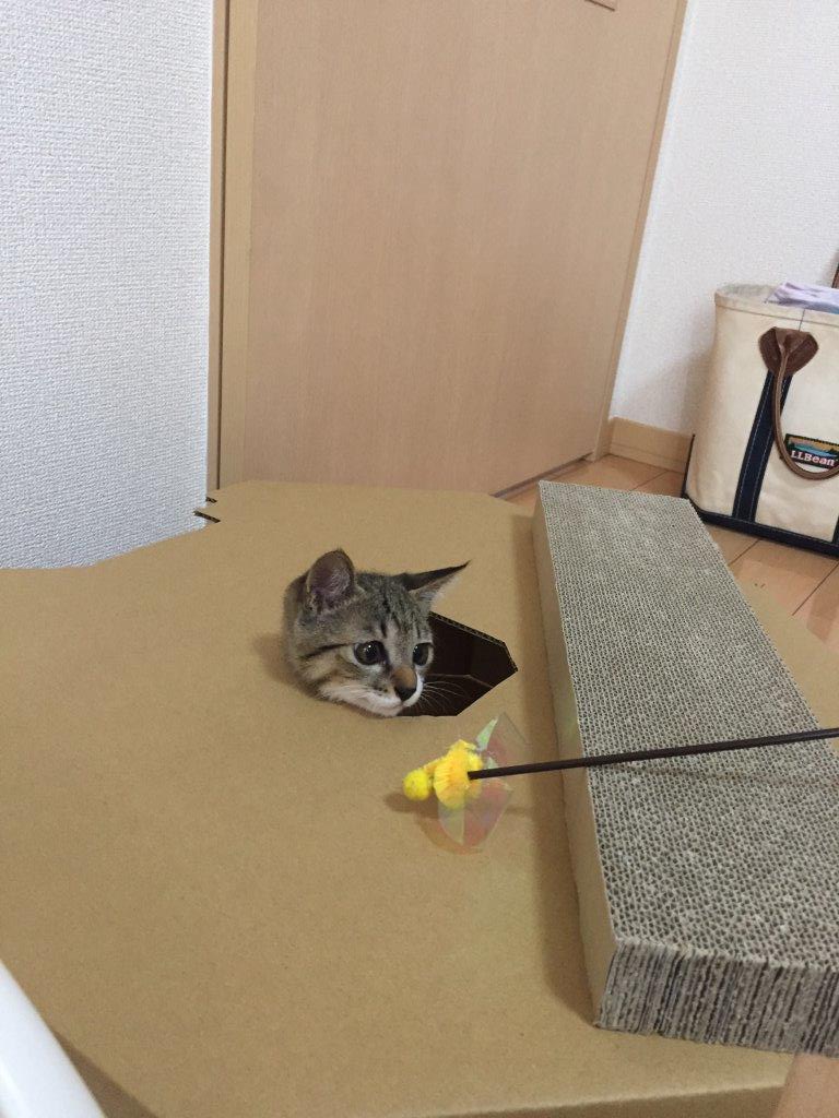 https://www.fco.co.jp/wp/wp-content/uploads/mt/blog_biz/blog_images/IMG_2537.JPG