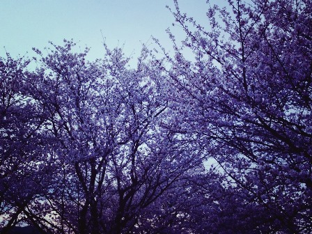 https://www.fco.co.jp/wp/wp-content/uploads/mt/blog_biz/blog_images/IMG_3174.JPG