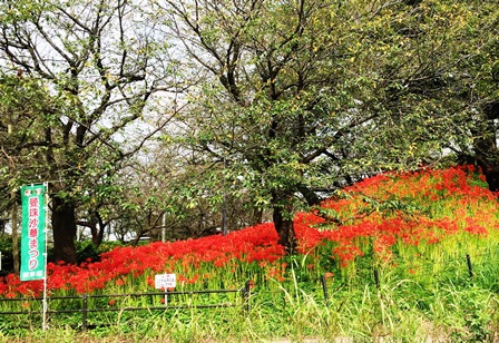 https://www.fco.co.jp/wp/wp-content/uploads/mt/blog_biz/blog_images/IMG_5281.JPG