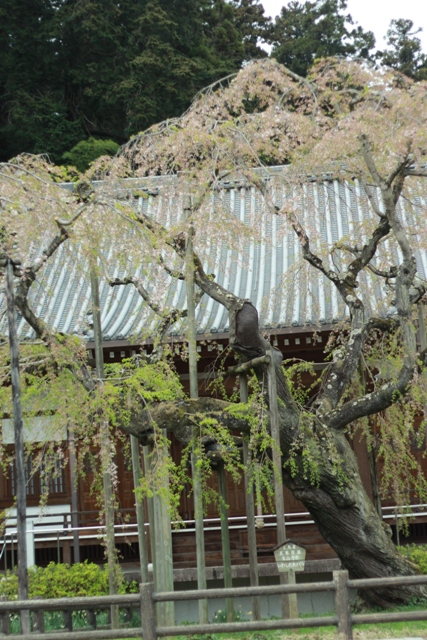 https://www.fco.co.jp/wp/wp-content/uploads/mt/blog_biz/blog_images/IMG_5389.JPG