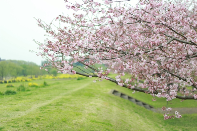 https://www.fco.co.jp/wp/wp-content/uploads/mt/blog_biz/blog_images/IMG_5406.JPG