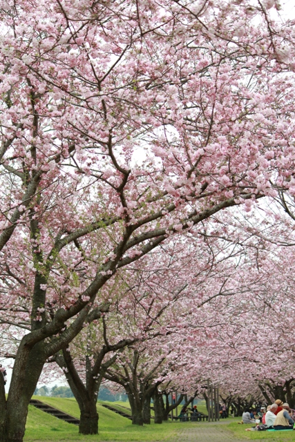 https://www.fco.co.jp/wp/wp-content/uploads/mt/blog_biz/blog_images/IMG_5419.JPG