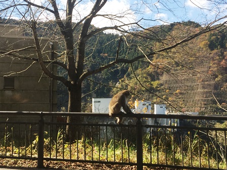 https://www.fco.co.jp/wp/wp-content/uploads/mt/blog_biz/blog_images/IMG_6015.JPG