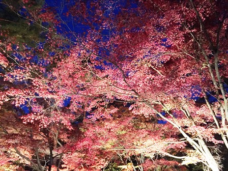 https://www.fco.co.jp/wp/wp-content/uploads/mt/blog_biz/blog_images/IMG_6039.JPG