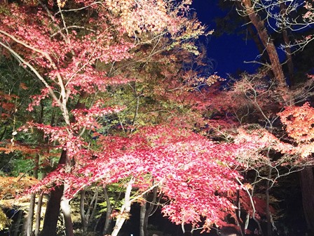 https://www.fco.co.jp/wp/wp-content/uploads/mt/blog_biz/blog_images/IMG_6040.JPG