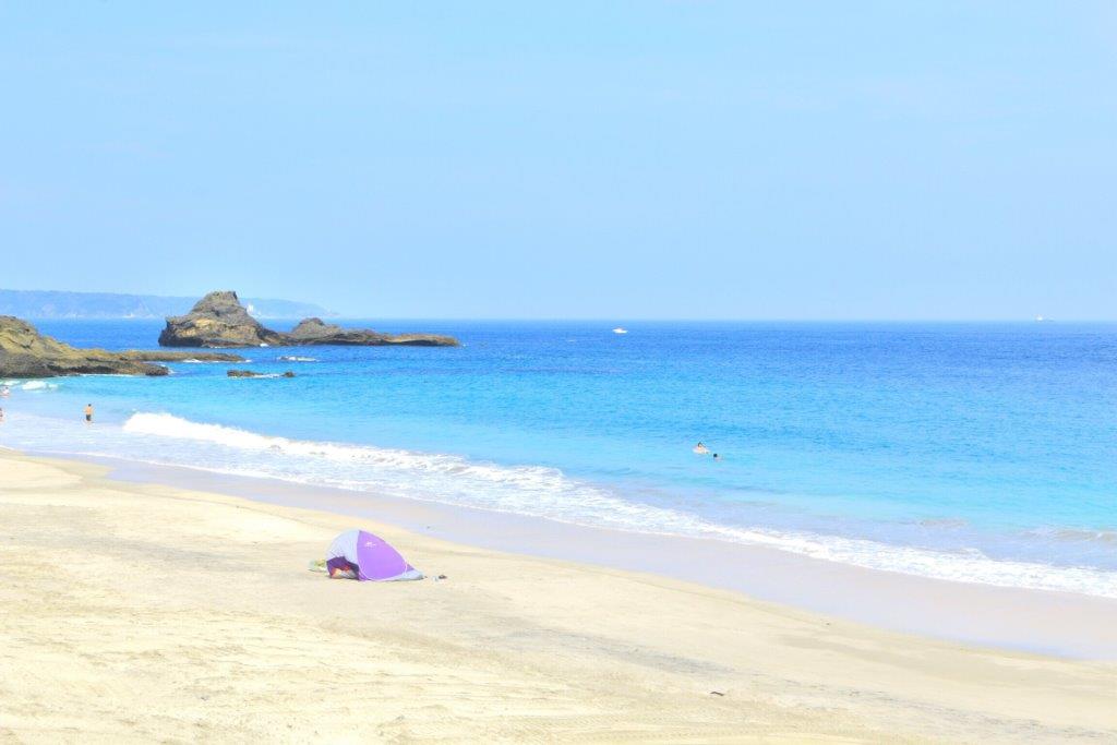https://www.fco.co.jp/wp/wp-content/uploads/mt/blog_biz/blog_images/IMG_9748.JPG