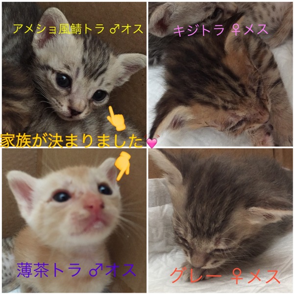 https://www.fco.co.jp/wp/wp-content/uploads/mt/blog_biz/blog_images/JTLZ3333.jpg