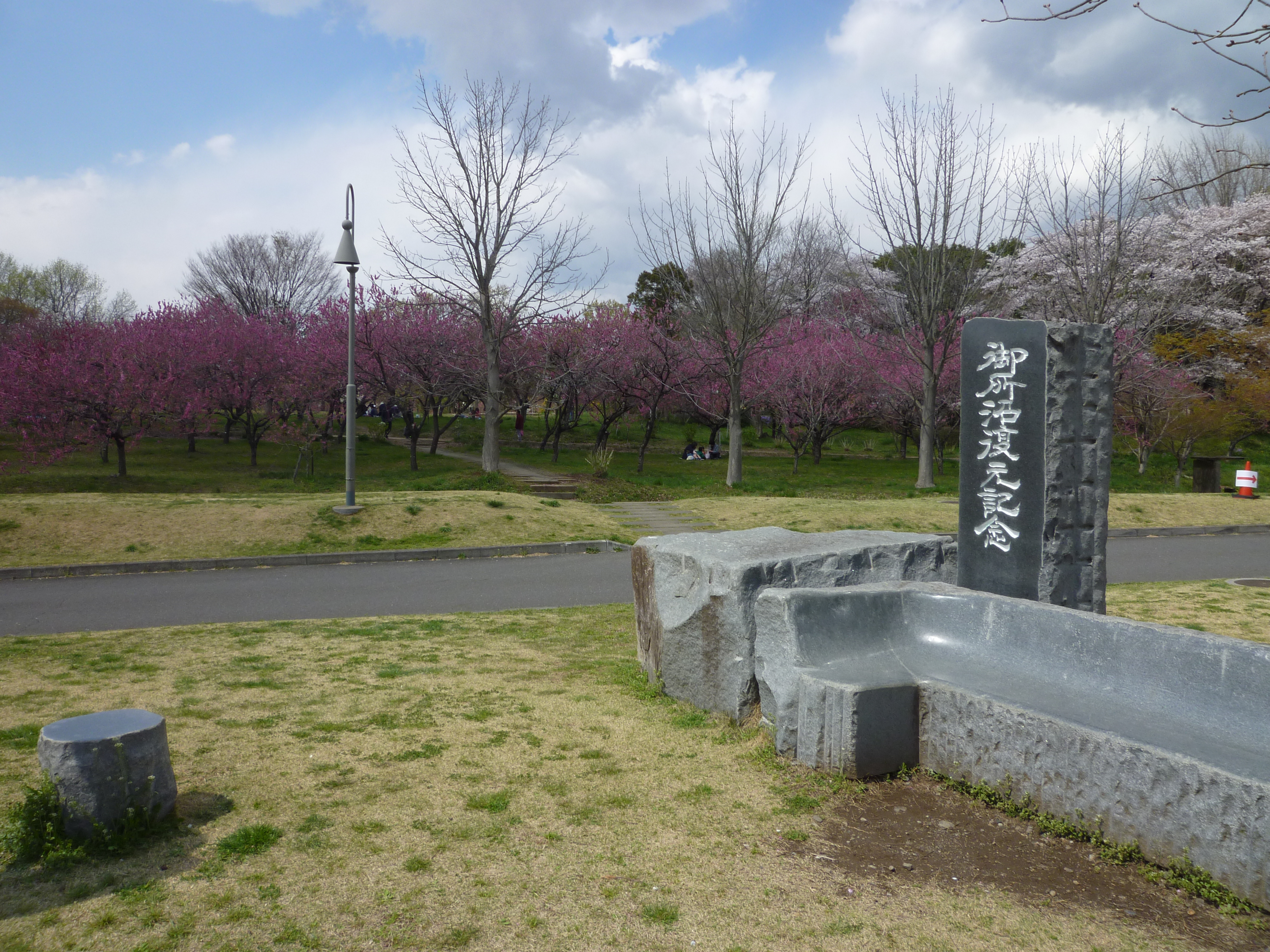 https://www.fco.co.jp/wp/wp-content/uploads/mt/blog_biz/blog_images/P1090625.JPG
