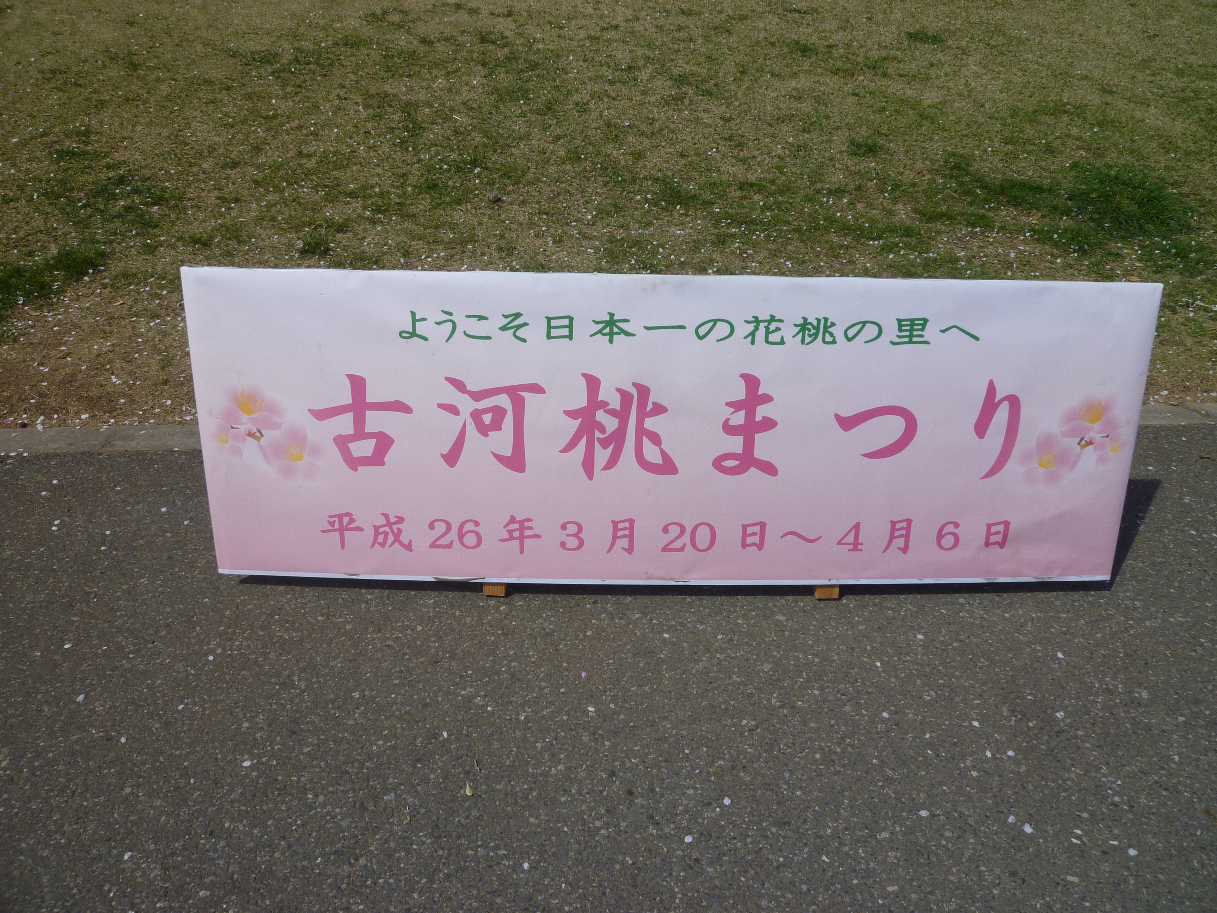 https://www.fco.co.jp/wp/wp-content/uploads/mt/blog_biz/blog_images/P1090652.JPG