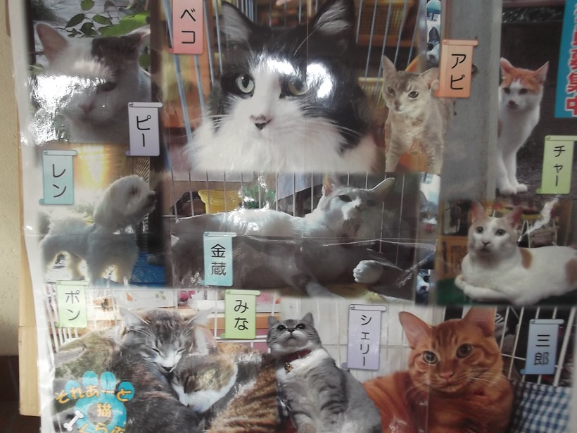 https://www.fco.co.jp/wp/wp-content/uploads/mt/blog_biz/blog_images/jjjjjj.JPG