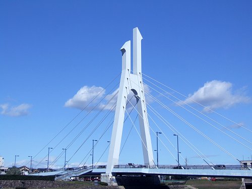 https://www.fco.co.jp/wp/wp-content/uploads/mt/blog_biz/blog_images/shirakobatobr1.jpg