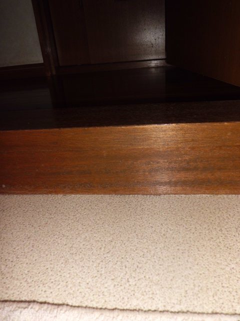 https://www.fco.co.jp/wp/wp-content/uploads/mt/diary/blog_images/CIMG2598-1.JPG