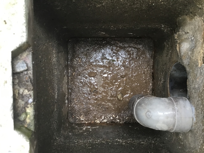https://www.fco.co.jp/wp/wp-content/uploads/mt/diary/blog_images/ito20180703-3.JPG