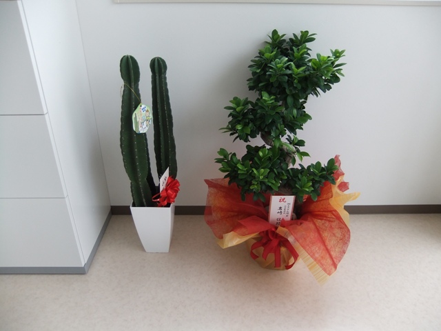 https://www.fco.co.jp/wp/wp-content/uploads/mt/diary/blogimages/DSCF9296web.JPG
