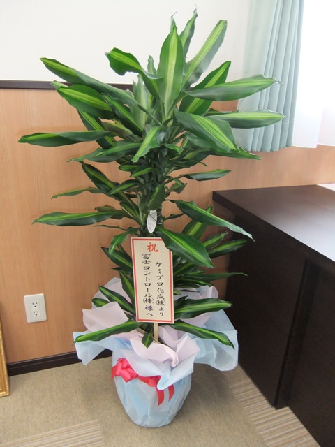 https://www.fco.co.jp/wp/wp-content/uploads/mt/diary/blogimages/DSCF9303web.JPG