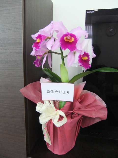 https://www.fco.co.jp/wp/wp-content/uploads/mt/diary/blogimages/DSCF9304web-1.JPG
