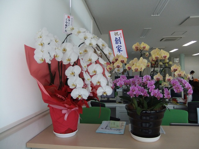 https://www.fco.co.jp/wp/wp-content/uploads/mt/diary/blogimages/DSCF9380-1web.JPG